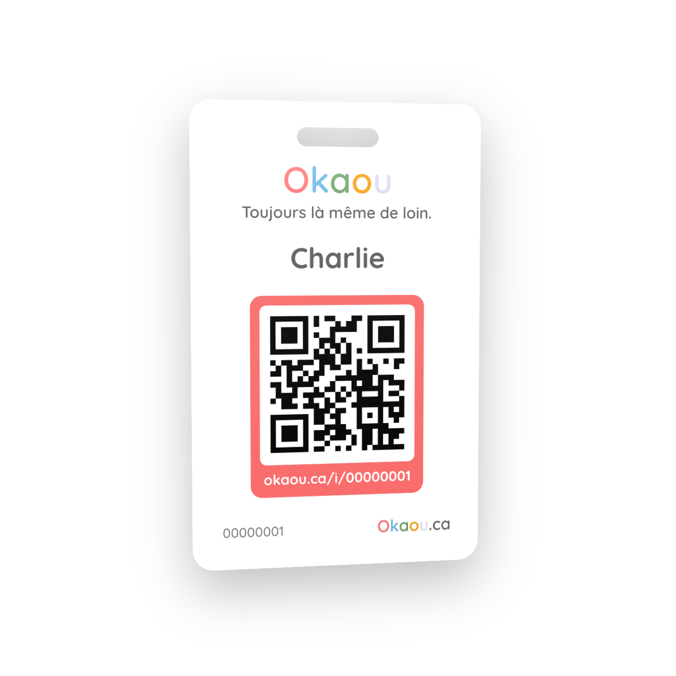 Carte Okaou
